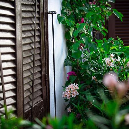El Molino Estepona Ngoại thất bức ảnh