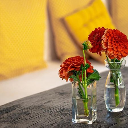 El Molino Estepona Ngoại thất bức ảnh