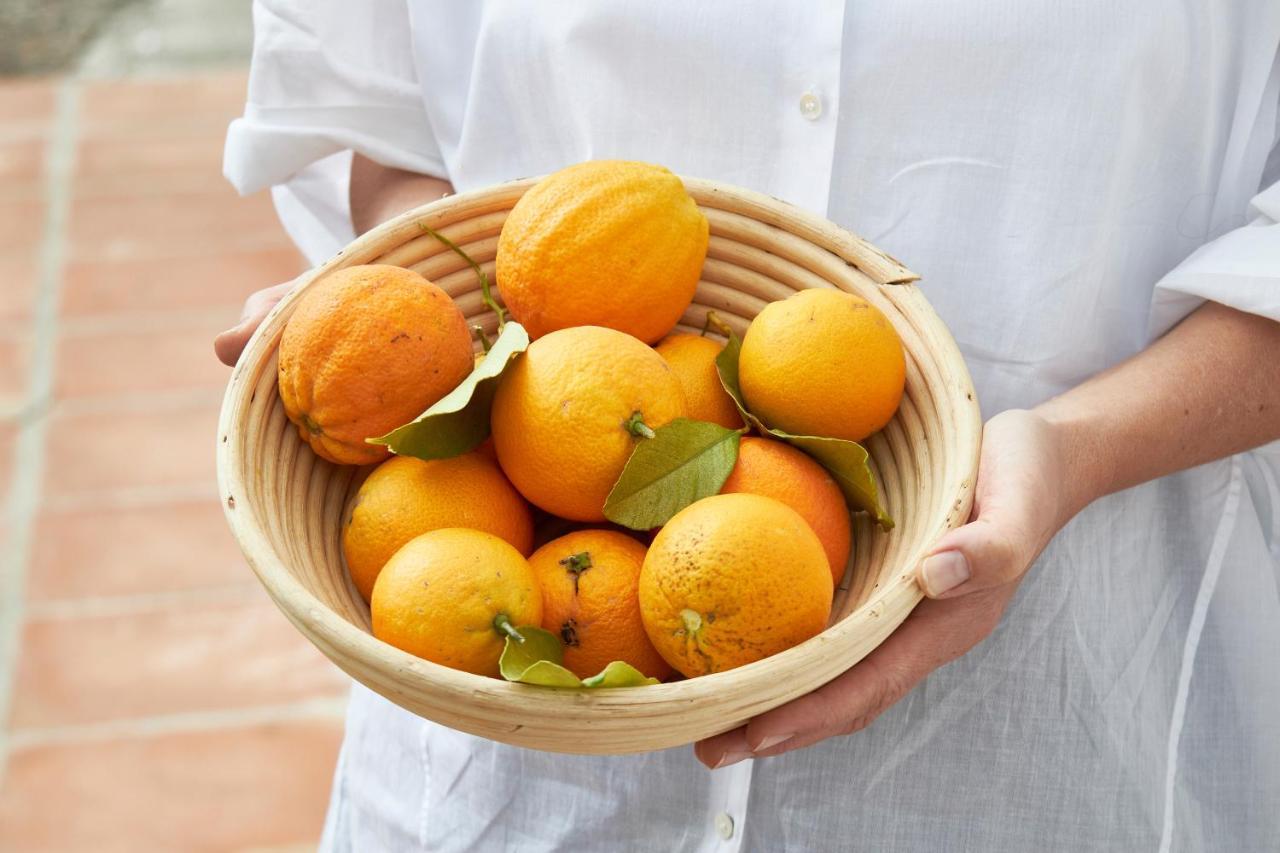 El Molino Estepona Ngoại thất bức ảnh