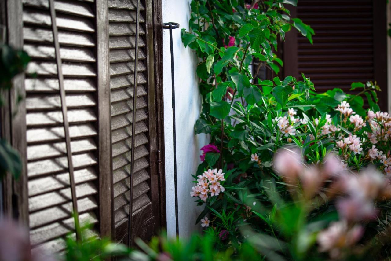 El Molino Estepona Ngoại thất bức ảnh