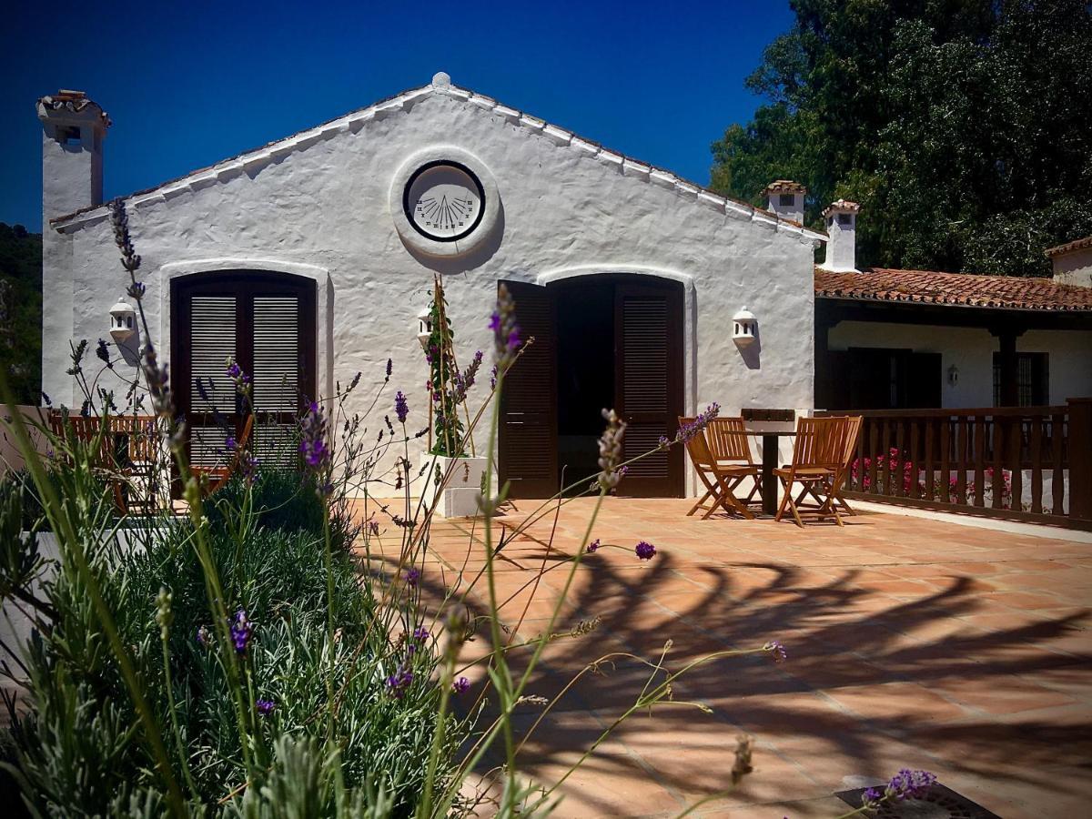 El Molino Estepona Ngoại thất bức ảnh