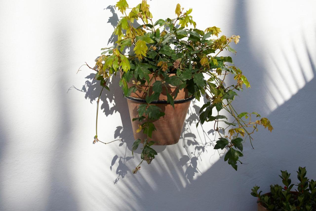 El Molino Estepona Ngoại thất bức ảnh