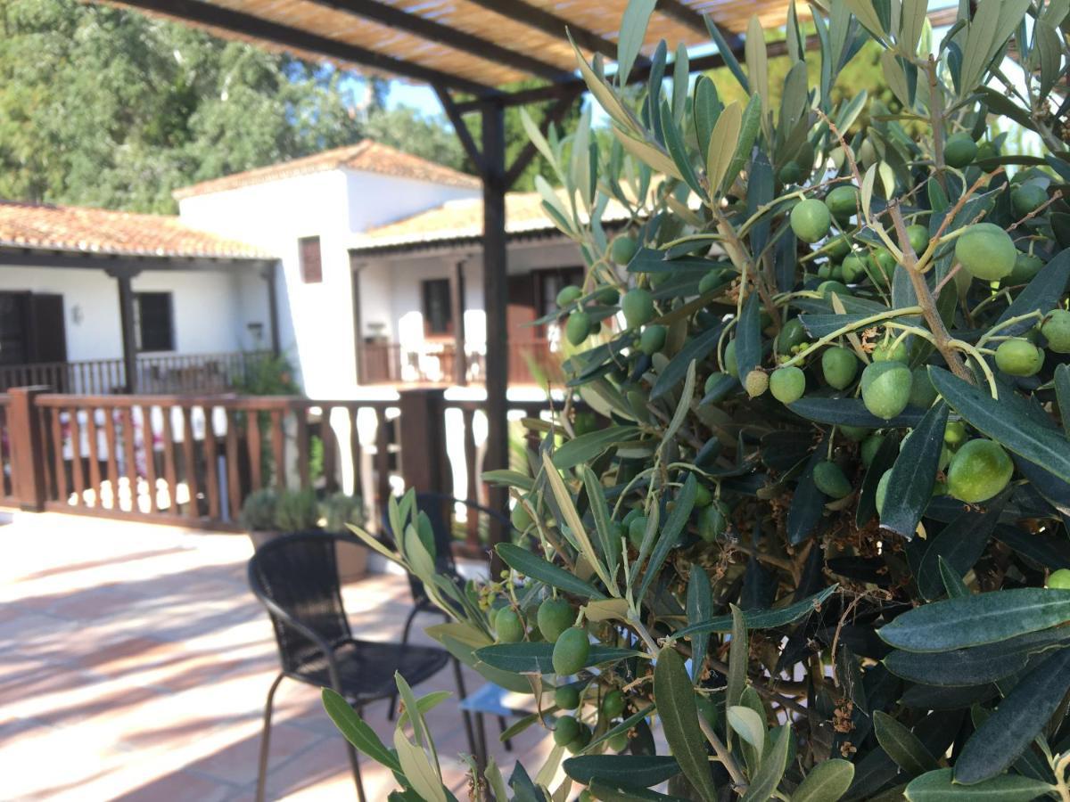 El Molino Estepona Ngoại thất bức ảnh