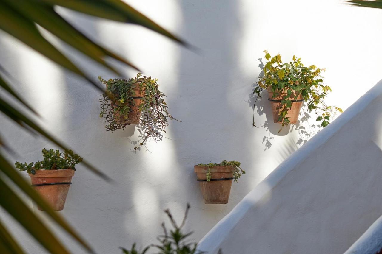 El Molino Estepona Ngoại thất bức ảnh