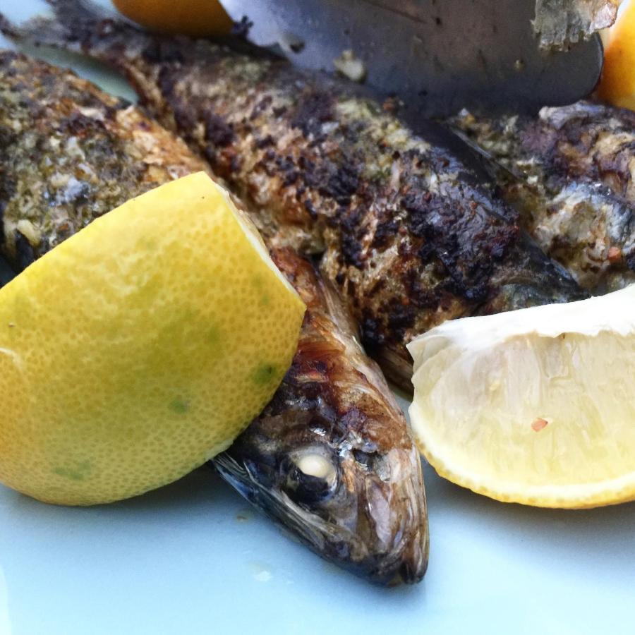 El Molino Estepona Ngoại thất bức ảnh